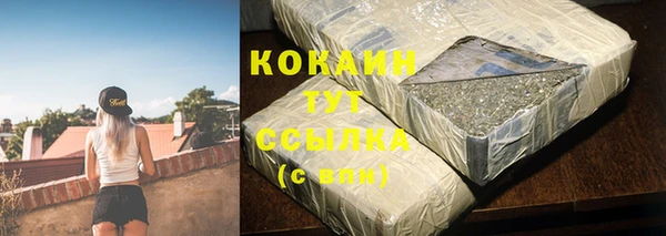 дживик Абаза