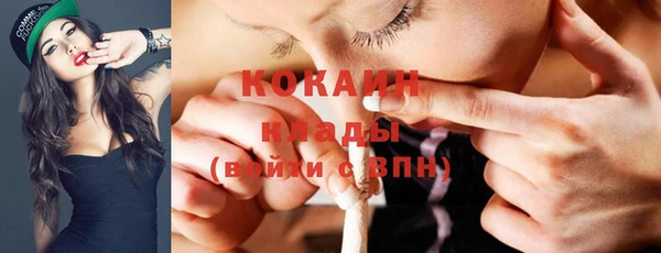 дживик Абаза