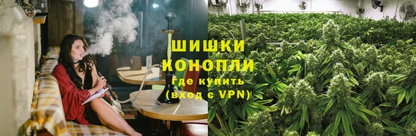 дживик Абаза