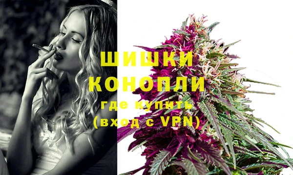 дживик Абаза
