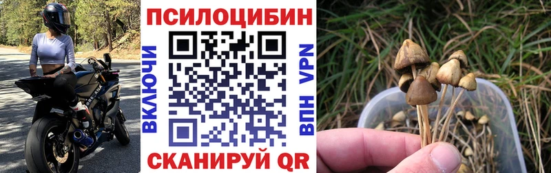 Псилоцибиновые грибы MAGIC MUSHROOMS  Полярный 